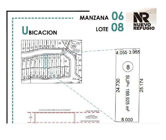 lote 8