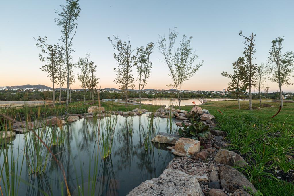 Lago de Juriquilla 4