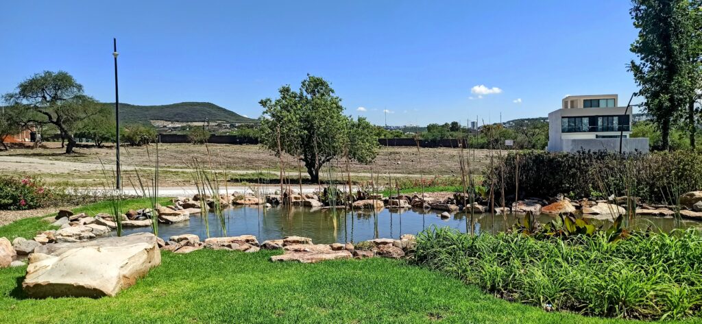 Lago de Juriquilla 7